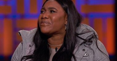 Ashley Sankar broke down in tears during the latest episode of Shark Tank when she was offered $250,000 by one of the investors