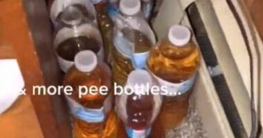 Nasty: Colleen's sister left the basement a mess when she moved out, leaving behind at least two dozen water bottles that her boyfriend had peed into instead of using the toilet