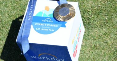 Workday’s stock drops as cut to subscription-sales outlook gives investors pause