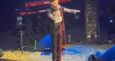 Zayn Malik was forced to ask fans to 'not hurt anybody' as they began to shove each other during his performance at London's Eventim Apollo on Tuesday