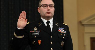 ‘First Buddy’ Elon Musk accuses Trump impeachment witness of ‘treason’ and calls for ‘appropriate penalty’