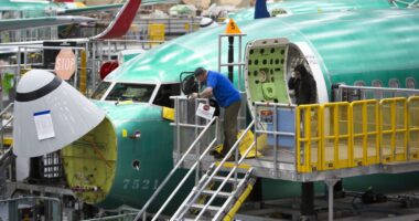 ‘We are at a low here, folks,’ Boeing’s new CEO tells employees. ‘I’m tired of it.’