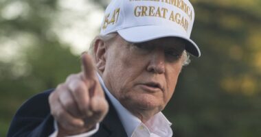 100 Days of Hoaxes Should Be More Aptly Named '100 Days of Democrat Meltdowns' – RedState
