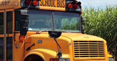 15-Year-Old Accused of Raping 7-Year-Old Boy on Special Needs School Bus