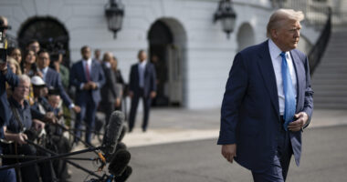 ABC 'Stars' Muir and Stephanopoulos Rejected for Top Trump Interview.