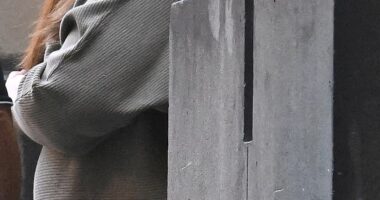 Erin Patterson leaves the Supreme Court of Melbourne during an earlier court appearance in April