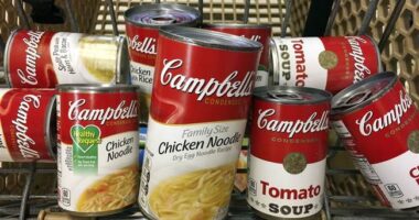 America's Second-Largest Grocery Chain Reportedly Isn't Stressing About Trump Tariffs – RedState