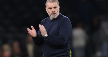 Ange Postecoglou has hit out at 'hysteria' over his job security amid reports he will leave