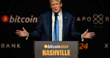 Bitcoin falls in Trump’s first 100 days, frustrating bulls looking for a crypto boom