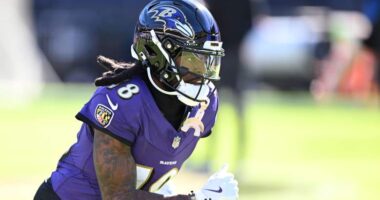 Browns Bring Former Pro Bowl WR to Town for Free Agent Visit