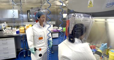 China has been fending off allegations of a lab leak for years, often becoming the target of China hawks in Congress who have advanced investigative reports into the pandemic¿s origins