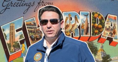 DeSantis Blasts FL House GOP Leaders for Being 'At War' With Their Voters.
