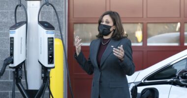 Electric Vehicles -- The Good, The Bad and The Ugly – HotAir