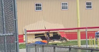 The car drove straight through the YNOT Outdoors Summer and After School Camp in Chatham, Illinois , on Monday about 3.20pm