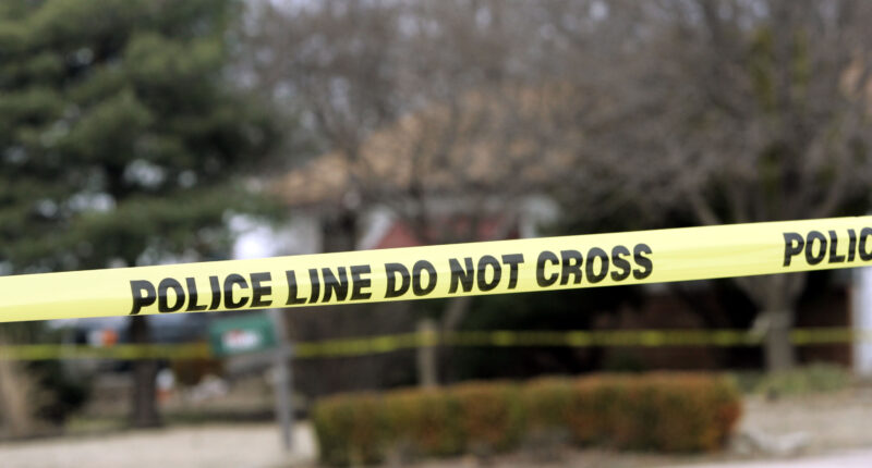illinois-camp-crash-leaves-three-children-dead-marianne-akers