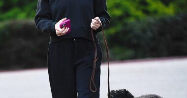 Jennifer Garner looked in good spirits despite ex Ben Affleck and his Jennifer Lopez clashing over their $68m estate as she enjoyed a dog walk in Los Angeles on Monday