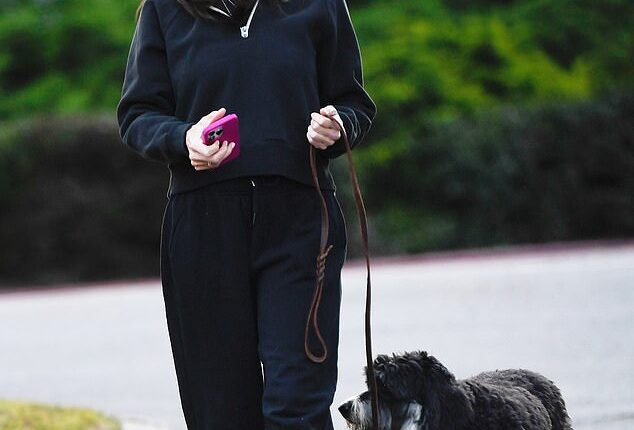 Jennifer Garner looked in good spirits despite ex Ben Affleck and his Jennifer Lopez clashing over their $68m estate as she enjoyed a dog walk in Los Angeles on Monday