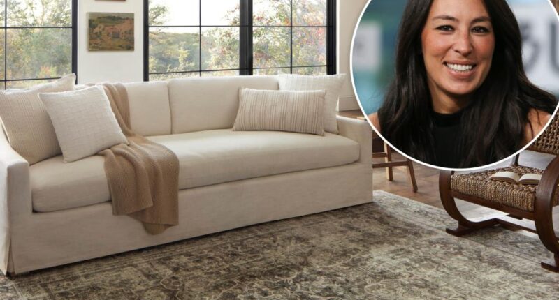 Joanna Gaines’ Magnolia Home rugs on sale at Wayfair Way Day 2025