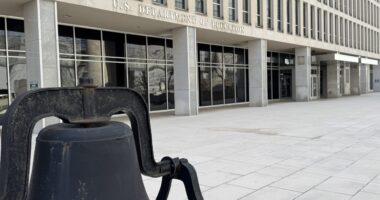 Judges Block Trump Admin Efforts To Eradicate DEI From Schools