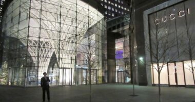 Kristi Noem's Gucci Purse Snatcher Is a Chilean Illegal Alien Who Served Time in the U.K. – RedState