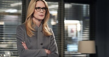 Stephanie March weighed in on whether or not she'd ever return to Law and Order: Special Victims Unit