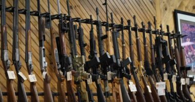 Montana Governor Courting Colorado Gun Manufacturers – RedState