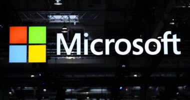 More tech heavyweights report after Alphabet offers some hope amid tariff fears