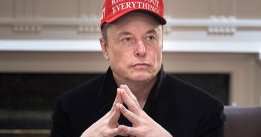 Elon Musk is facing pushback from New York lawmakers who want to shut down his five Tesla dealerships in the state