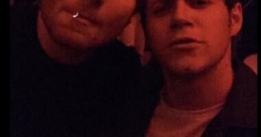 Niall Horan confirmed his famous rift with Ed Sheeran is fully resolved as he reposted a photo originally shared by his old friend across social media on Wednesday