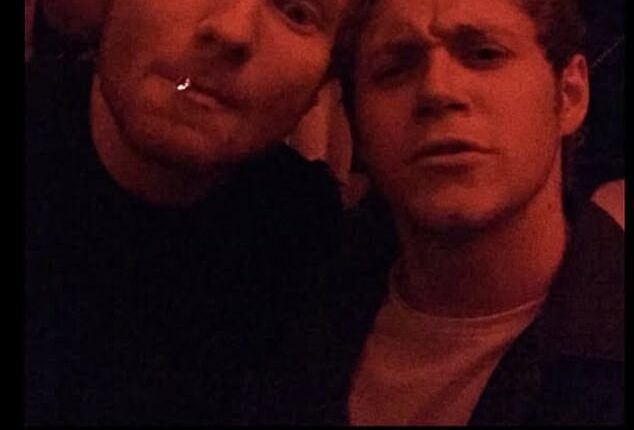 Niall Horan confirmed his famous rift with Ed Sheeran is fully resolved as he reposted a photo originally shared by his old friend across social media on Wednesday