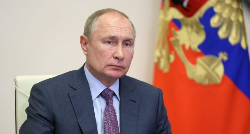 Putin Declares Temporary Ceasefire in Ukraine.