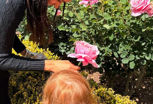 Lilibet could be seen with her long flowing ginger down as Meghan helped her pick a pink rose