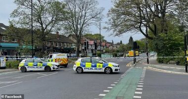 Three people have been left injured amid reports of a man spotted 'armed with a crossbow' in a major city today (Pictured: Police at the scene in Leeds today)