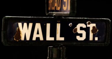 Stock market’s post-GDP whiplash shows it’s ‘foolish’ to expect anything but volatility