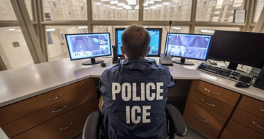 Success Is Best Served With ICE—'Operation Tidal Wave' Nabs Hundreds of Illegal Aliens in Florida – RedState