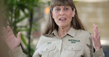 Terri Irwin, 61, has revealed what she really thinks of her son Robert's, 21, new found sex symbol status following his steamy Bonds and Stellar photoshoots in recent years, saying in the latest issue of Stellar she is happy for Robert but 'it's a lot'