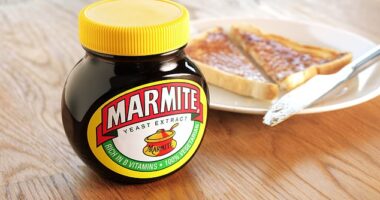 Tesco shoppers have gone wild after discovering a new range of Marmite products dubbed 'unreal' by spread lovers (stock image of Marmite)