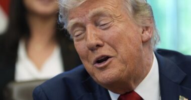 That First Hunnert Days Were Yuge – HotAir