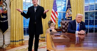 Elon Musk is stepping back from his daily post just steps away from the Oval Office