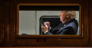 President Donald Trump pocket dialed a reporter at 1.28am after refusing to take his call - and later joked it was 'another Signal thing'