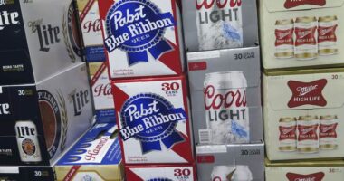 Which Beer Is Most Popular in Your State? We Have the Answer. – RedState