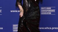 Singer Lynda Carter arrived at the 2025 White House Correspondents' Dinner wearing head-to-toe sparkles. The over-the-top black frock hung awkwardly on her frame. She paired it with some platform sneakers that really toned it down