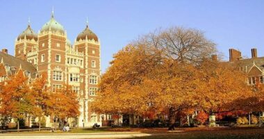 You Violated Title IX With Your 'Women's Sports' Policies. Apologize Now. – RedState