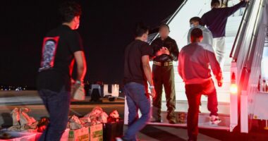 3 Questions Dems Need To Answer About Illegal Alien Deportations