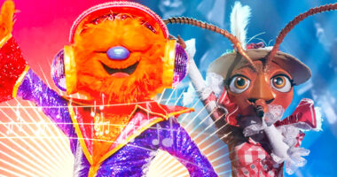 7 Best Costumes in The Masked Singer Season 13