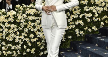 Zendaya, 28, was one of the one only stars who managed to hit a fashion high note at the Met Gala in New York on Monday as she nailed the  Superfine: Tailoring Black Style style brief