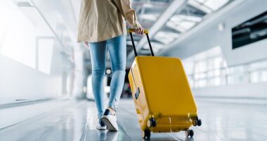 I never found the ideal case ¿ they were always too heavy, had too few compartments or were just impossible to squish in a way that would accommodate the extra shopping I'd return with, Shulman writes (stock image)