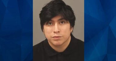 Acccused Predator Orders Rideshare Service to Lure in Young Girl He Met Online: Police