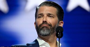 Donald Trump Jr.'s exclusive new club for supporters of his father's administration will ban many of Washington DC 's elites