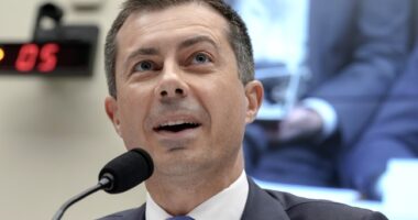 America Has Too Many Regulations! – HotAir